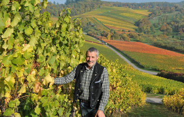 Weingut und Gästehaus Erich Hirth | Obersulm-Willsbach | Weinsberger Tal | © Tourismus im Weinsberger Tal e.V.