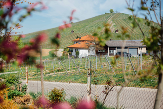 Weingut Fischer Heilbronn | © Heilbronn Marketing GmbH