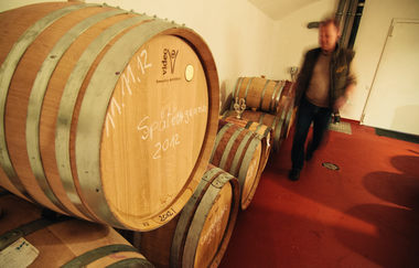 Weingut Frank Schiele in Rauenberg | © Weinbau Schiele