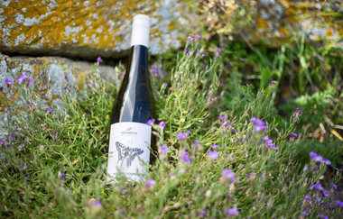 Weingut G.A. Heinrich