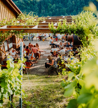 Umgeben von Reben genießen viele Leute beim Weinausschank an der Weinberghütte vom Weingut Gaufer köstliche Weine und Gerichte, einem Event bekannt als die "Weinaussicht" | © Touristikgemeinschaft Hohenlohe e.V. | Weingut Gaufer