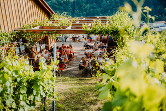Umgeben von Reben genießen viele Leute beim Weinausschank an der Weinberghütte vom Weingut Gaufer köstliche Weine und Gerichte, einem Event bekannt als die "Weinaussicht" | © Touristikgemeinschaft Hohenlohe e.V. | Weingut Gaufer