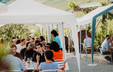 Unter schattenspendenden Gazebos genießen viele Leute den Weinausschank an der Weinberghütte in den Weinbergen vom Weingut Gaufer, einem Event bekannt als die "Weinaussicht" | © Touristikgemeinschaft Hohenlohe e.V. | Weingut Gaufer