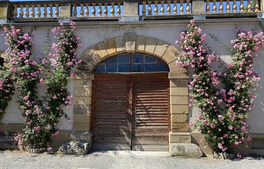 Weingut Graf Neipperg | © Graf Neipperg