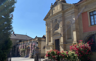 Weingut Graf Neipperg | © Graf Neipperg