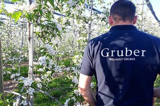 Blüten, Weingut Gruber, Weinreben, Trauben, T-Shirt | © Tourismus Weinsberger Tal e.V.