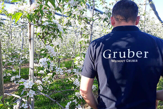 Blüten, Weingut Gruber, Weinreben, Trauben, T-Shirt | © Tourismus Weinsberger Tal e.V.