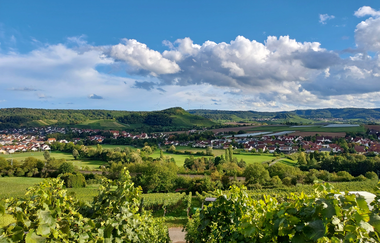 Weingut Gruber | Obersulm | Weinberge | © Tourismus im Weinsberger Tal e.V.