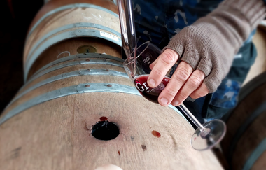 Weingut Gruber | Obersulm | Weinkeller | © Tourismus im Weinsberger Tal e.V.