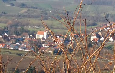 Weingut Gruber | Obersulm | Weinberge | © Tourismus im Weinsberger Tal e.V.