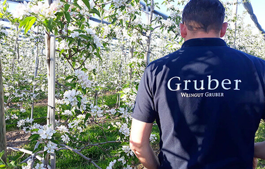 Blüten, Weingut Gruber, Weinreben, Trauben, T-Shirt | © Tourismus Weinsberger Tal e.V.