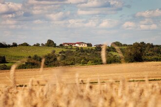 Weingut Honold | © WEINGUT LUDWIG HONOLD