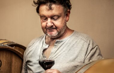 Weingut Honold