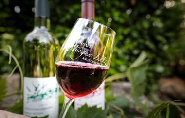 Ein Glas Rotwein | © Unbekannt