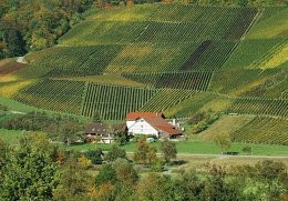 Weingut Keil | © Touristikgemeinschaft Hohenlohe e. V. | Weingut Keil