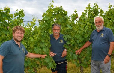 Weingut Kippenhahn in Weinheim | © Weingut Kippenhan
