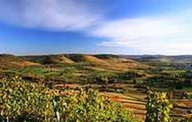 Blick vom Scheuerberg | Erlenbach | HeilbronnerLand | © Tourismus im Weinsberger Tal