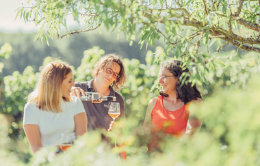 Weingut Koppenhöfer | Löwenstein-Rittelhof | Weinerlebnisführung | Weinsberger Tal | © Tourismus im Weinsberger Tal e.V.