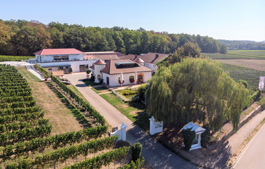 Weingut Kurz-Wagner | Talheim | HeilbronnerLand | © Weingut Kurz-Wagner GbR