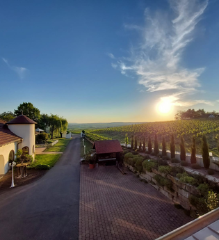 Weingut Kurz-Wagner - Aussichtslage auf dem Haigern | Talheim | HeilbronnerLand | © Weingut Kurz-Wagner