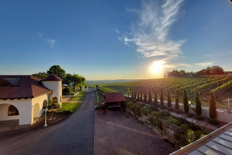 Weingut Kurz-Wagner - Aussichtslage auf dem Haigern | Talheim | HeilbronnerLand | © Weingut Kurz-Wagner