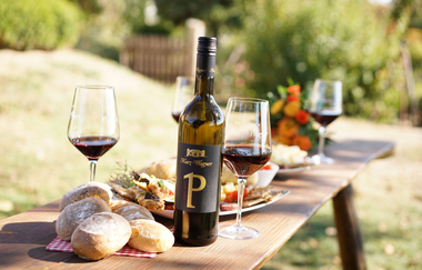 Vinothek & Weinproben auf dem Weingut Kurz-Wagner | Talheim | HeilbronnerLand | © Weingut Kurz-Wagner GbR