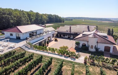 Weingut Kurz-Wagner | Talheim | HeilbronnerLand | © Weingut Kurz-Wagner