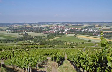 Der Blick geht über grüne Reben in ein Panorama über | © Touristikgemeinschaft Hohenlohe e. V. | Gemeinde Bretzfeld
