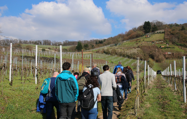 Weingut Majer in Schriesheim | © Landratsamt Rhein-Neckar-Kreis