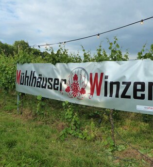 Weingut Manfred Block und Restaurant Kraichgaustube | © Beate Otto