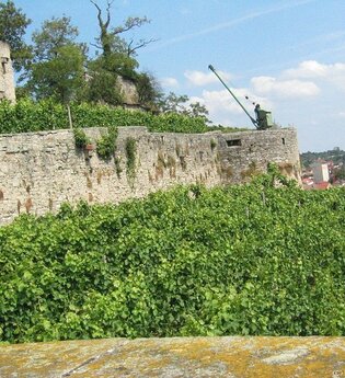 Weingut Nonnenmacher | © Weingut Nonnenmacher