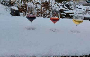 Weingut Oesterlein Weingut | © Liebliches Taubertal