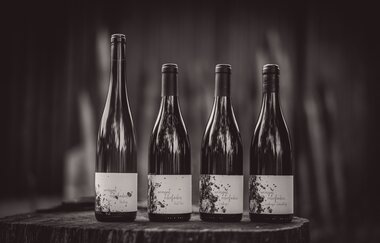 Weingut roterfaden