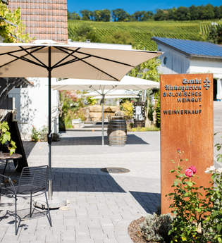 Freiluft Vinothek Eingang | © Sankt Annagarten Biologisches Weingut