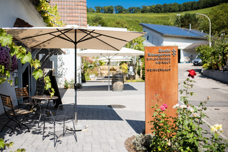 Freiluft Vinothek Eingang | © Sankt Annagarten Biologisches Weingut