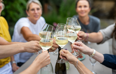 Weingläser beim anstoßen  bei Weingut Sankt Annagarten | © Sankt Annagarten Biologisches Weingut