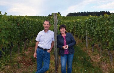 Weingut Schlör