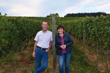 © Weingut Schlör