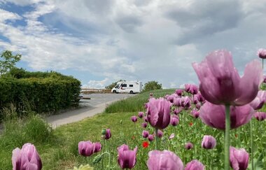 Wohnmobilstellplätze auf dem Weingut Schönbrunn | Erlenbach | HeilbronnerLand | © Weingut Schönbrunn GbR