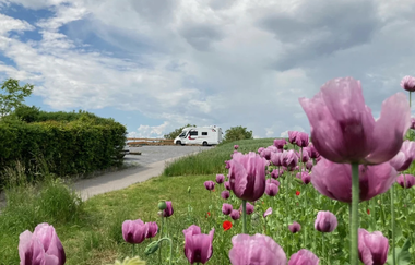 Wohnmobilstellplätze auf dem Weingut Schönbrunn | Erlenbach | HeilbronnerLand | © Weingut Schönbrunn GbR