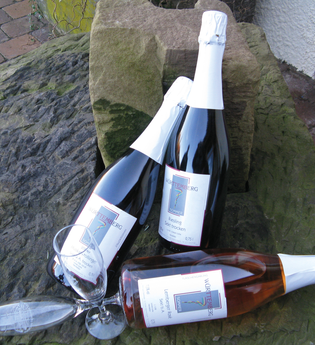 Weingut Sommer | © Neckar-Zaber-Tourismus e.V.