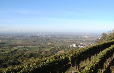 Weingut Teutsch in Hirschberg-Leutershausen | © Weingut Teutsch Hirschberg