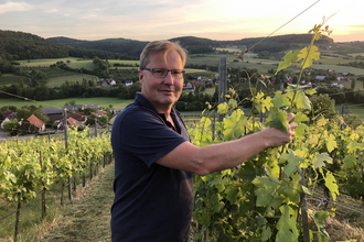 Der Winzer pflegt die Rebstöcke im Weinberg | © Touristikgemeinschaft Hohenlohe e.V. | Weingut Ungerer