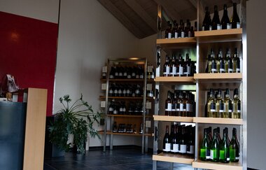 Regale mit Weinflaschen und Verkaufstresen in dem Verkaufsraum der Vinothek beim Weingut Ungerer in Pfedelbach | © Touristikgemeinschaft Hohenlohe e.V. | Weingut Ungerer