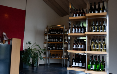 Regale mit Weinflaschen und Verkaufstresen in dem Verkaufsraum der Vinothek beim Weingut Ungerer in Pfedelbach | © Touristikgemeinschaft Hohenlohe e.V. | Weingut Ungerer