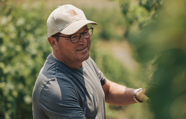 Weinlese | Weingut Wachtstetter | Pfaffenhofen | © Neckar-Zaber-Tourismus e.V.