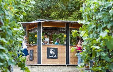 Weingut Weigel | © Land der 1000 Hügel - Kraichgau-Stromberg