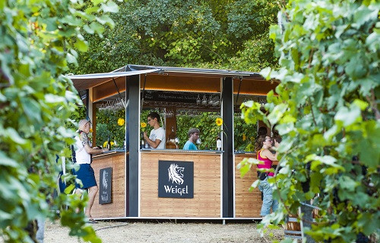 Weingut Weigel | © Land der 1000 Hügel - Kraichgau-Stromberg