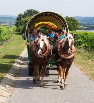 Ein Planwagen wird von zwei Pferden gezogen, hinten sitzen Personen | © Touristikgemeinschaft Hohenlohe e. V.