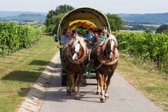 Ein Planwagen wird von zwei Pferden gezogen, hinten sitzen Personen | © Touristikgemeinschaft Hohenlohe e. V.